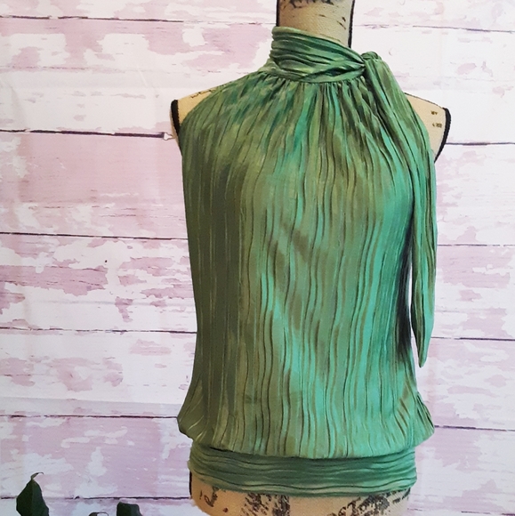 Halo Tops - ⚘2/$15⚘BEAUTIFUL Silky, Sleeveless Tie Neck Topk